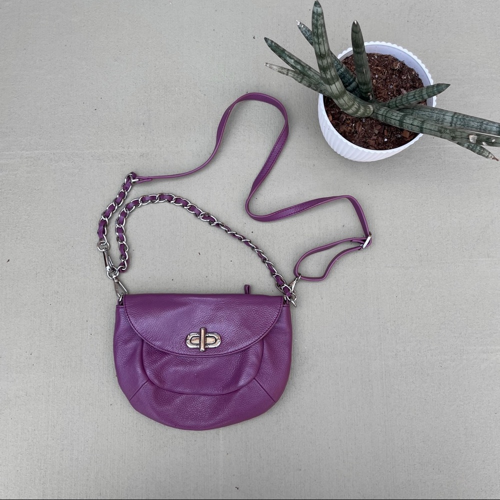 Alicia Klein purple bag